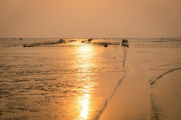 Passion Des Escapades